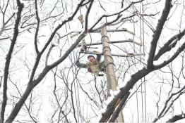 鎮(zhèn)江供電抗擊暴雪保供電