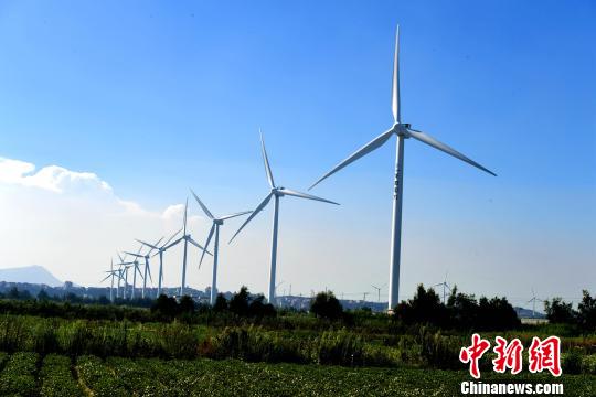 莆田沿海整齊的風(fēng)力發(fā)電設(shè)備?！⊥鯑|明 攝
