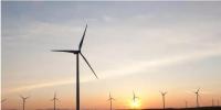 維斯塔斯獲大唐新能源99兆瓦風(fēng)機(jī)訂單