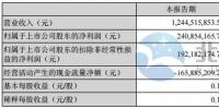 天順風(fēng)能上半年凈盈利2.41億元 同比增長(zhǎng)13%