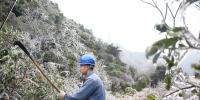 廣東受低溫天氣影響用戶全部復(fù)電