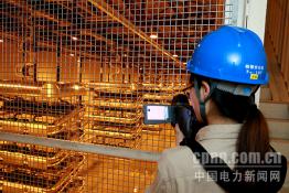 江蘇檢修：雙極低端大負(fù)荷試驗(yàn)