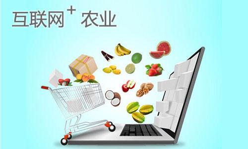 以果沙漠打造互聯網+訂單農業(yè)