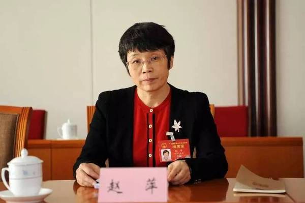東方風(fēng)電趙萍：海上風(fēng)機(jī)大型化是趨勢(shì)，中國(guó)已落后一步