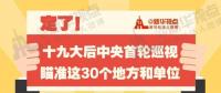 定了！華電集團(tuán)、中核集團(tuán)將接受十九屆中央第一輪巡視