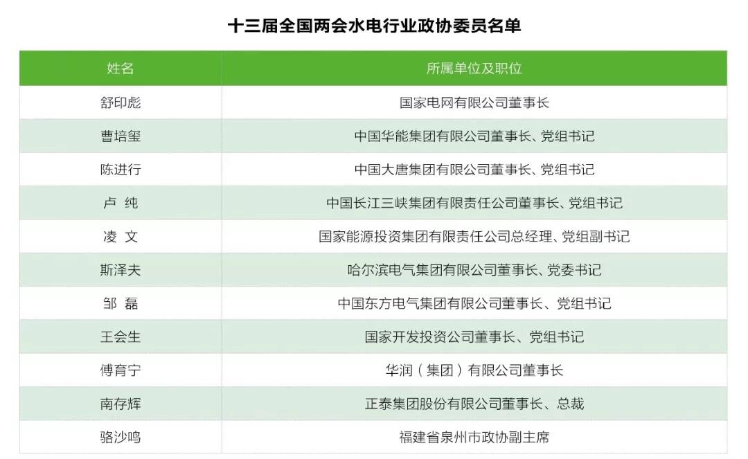 兩會觀察｜水電篇：消納難題何解？
