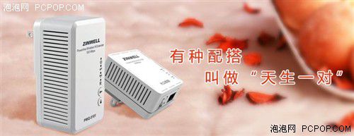 電力貓的版本眾多，從電力線傳輸技術上就可以分為HomePlug和G.hn，采用相同電力線通信技術的電力貓還可以分為有線電力貓和無線電力貓，而在無線電力貓中還有無線AP和無線路由的區(qū)別。外觀功能上的區(qū)別就更大了，以ZINWELL為例，就先后推出了單口有線電力貓，帶電源延長線的電力貓，多口有線電力貓，電力貓無線路由器，無線AP電力貓，帶電源插座的電力貓等。