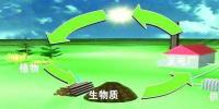 生物質(zhì)是替代核電、火電 彌補天然氣缺口的一種重要新能源