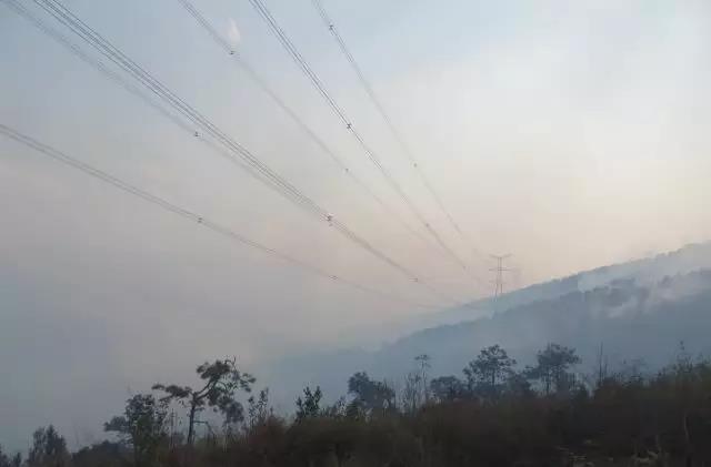 聽說最近輸電線路和鐵塔“火”啦！