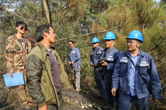 聽說最近輸電線路和鐵塔“火”啦！