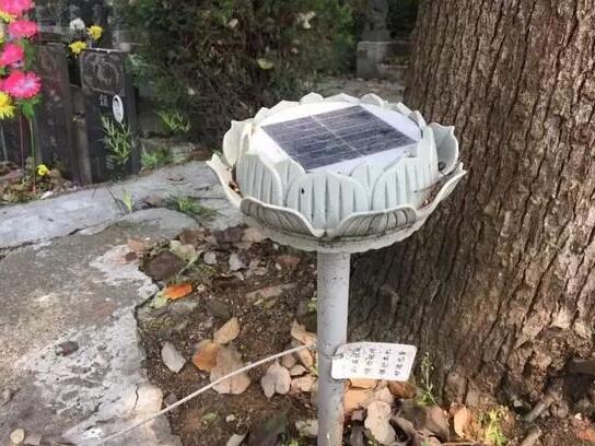 墓地傳來哭聲 周圍卻沒有人影 清明節(jié)你被光伏嚇著了嗎？