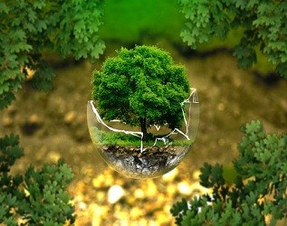 山東樂陵鐵營鎮(zhèn)光伏發(fā)電項(xiàng)目助力149戶貧困戶脫貧