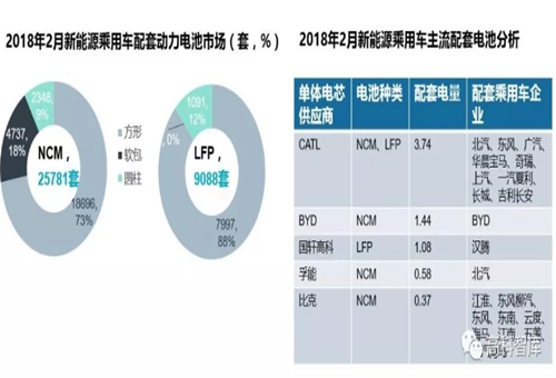 【數(shù)據(jù)】2018新能源乘用車及動(dòng)力電池市場分析