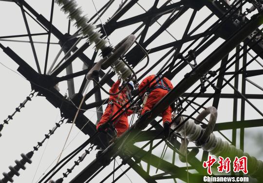 圖為電力工人在70多米高空作業(yè)，為特高壓復(fù)奉線重慶段進(jìn)行八年來首次大修?！≈芤?攝