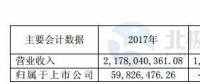 華儀電氣：2017年凈利潤5983萬元 實現(xiàn)扭虧為盈
