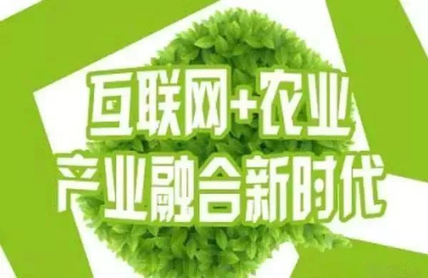 互聯(lián)網(wǎng)+農(nóng)業(yè)，6大創(chuàng)業(yè)方向是…