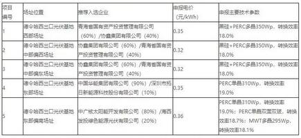18家企業(yè)10個光伏應用領(lǐng)跑基地中標情況