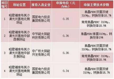 18家企業(yè)10個光伏應用領(lǐng)跑基地中標情況