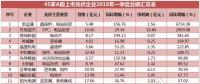 一季度45家光伏企業(yè)業(yè)績榜單登場：超八成飄紅，兩級分化現(xiàn)象嚴(yán)重