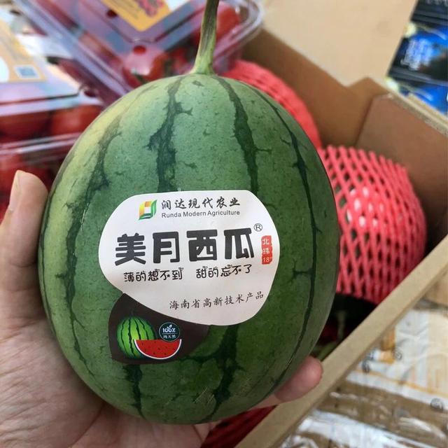 互聯網+農業(yè)發(fā)展模式｜海南特色連皮一起吃的小西瓜—美月西瓜