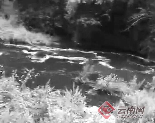 云南麗江部分水體變黑臭并有牲畜尸體，環(huán)保局：水閘放水引起