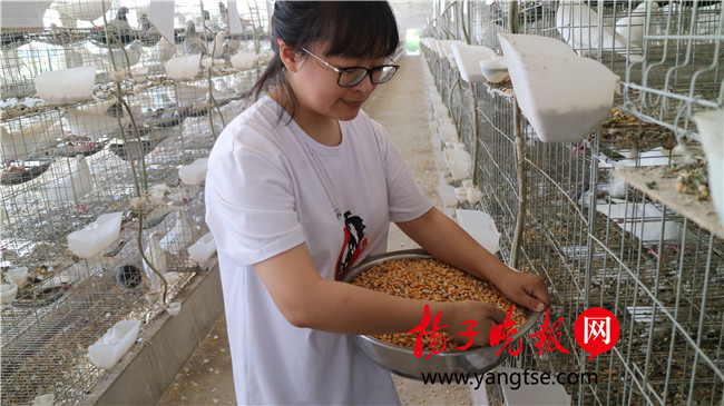 一個(gè)“80”后研究生的“綠色農(nóng)業(yè)夢(mèng)”：用“互聯(lián)網(wǎng)+”思維做農(nóng)業(yè)，新型職業(yè)農(nóng)民“潮”起來