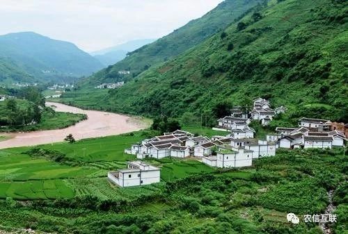 移動(dòng)互聯(lián)網(wǎng)走進(jìn)農(nóng)村，推動(dòng)農(nóng)業(yè)產(chǎn)業(yè)的智慧化轉(zhuǎn)型升級(jí) 