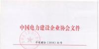2018年度中國(guó)電力<font color=