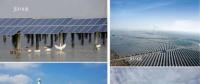 國(guó)家電投在鹽城裝機(jī)容量突破280萬(wàn)千瓦