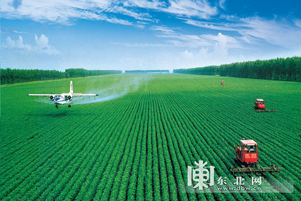 黑河市全力加快農業(yè)綠色發(fā)展示范區(qū)創(chuàng)建步伐