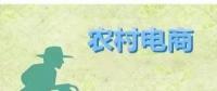 為何農(nóng)村電商這么火？未來3大看點隱藏千億級財富