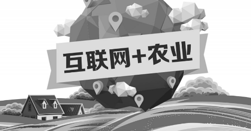 A5創(chuàng)業(yè)項目推薦：互聯(lián)網(wǎng)+農(nóng)業(yè)能碰撞出怎樣的新發(fā)展？
