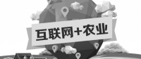A5創(chuàng)業(yè)項(xiàng)目推薦：互聯(lián)網(wǎng)+農(nóng)業(yè)能碰撞出怎樣的新發(fā)展？