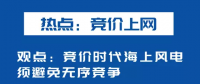 海上風(fēng)電如何應(yīng)對(duì)競(jìng)價(jià)上網(wǎng)、大功率研發(fā)、事故風(fēng)險(xiǎn)？