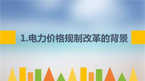 我國電力價(jià)格規(guī)制現(xiàn)狀、存在的問題及原因分析