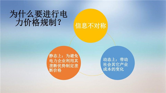 我國電力價(jià)格規(guī)制現(xiàn)狀、存在的問題及原因分析