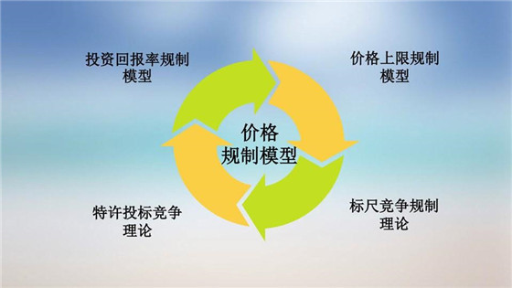 我國電力價(jià)格規(guī)制現(xiàn)狀、存在的問題及原因分析