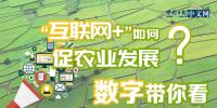 “互聯(lián)網(wǎng)+”如何促農(nóng)業(yè)發(fā)展？<font color=
