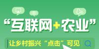 圖解丨“互聯(lián)網(wǎng)+農(nóng)業(yè)”讓鄉(xiāng)村振興“點擊”可見