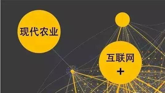 顛覆！裂變！賦能！互聯(lián)網(wǎng)+農(nóng)業(yè)領(lǐng)域的“豬飛起來了”
