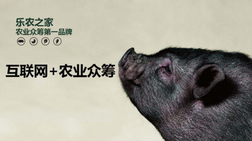 互聯(lián)網(wǎng)+農(nóng)業(yè)眾籌只賺吆喝 利潤(rùn)全被用戶拿走了？