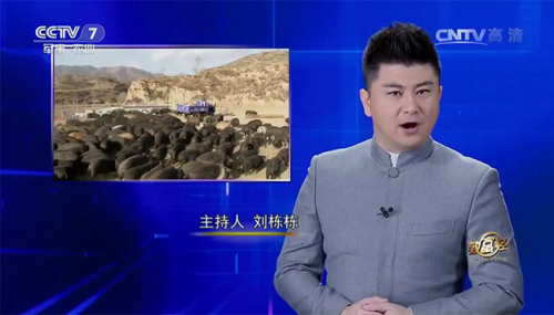 互聯(lián)網(wǎng)+農(nóng)業(yè)眾籌只賺吆喝 利潤(rùn)全被用戶拿走了？