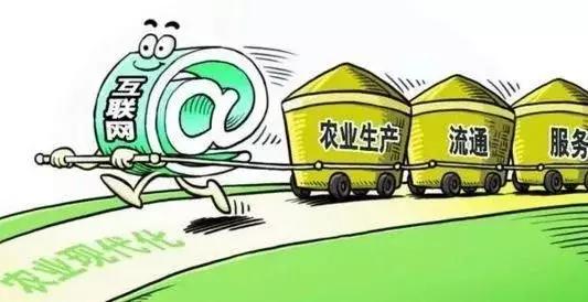 2018年農(nóng)村電商巨頭卡位戰(zhàn)：互聯(lián)網(wǎng)+農(nóng)業(yè)新玩法！