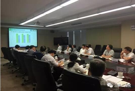 三峽上海院LCOE研究成果已具備在集團內(nèi)部推廣應(yīng)用條件