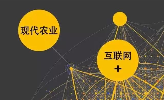 如何用“互聯(lián)網(wǎng)+”重塑農(nóng)業(yè)競爭優(yōu)勢？