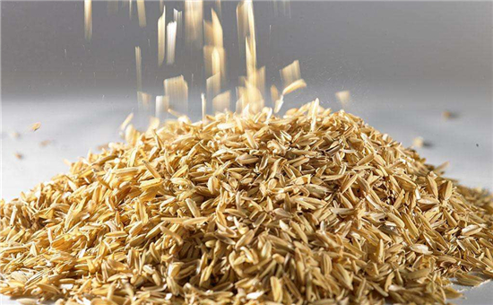 我國(guó)率先用稻殼制備高性能鉛炭電池 循環(huán)壽命提高6倍