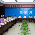 國家能源局就白鶴灘烏東德水電站移民安置和工程建設開展調(diào)研座談