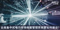 云南集中式電力市場檔案管理系統(tǒng)要如何建設(shè)?