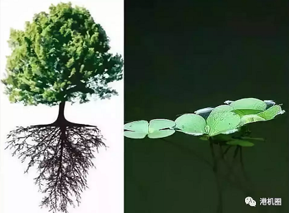 插樁式、坐底式 詳解海上風(fēng)電安裝平臺的作業(yè)方式
