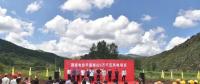 投資4.1億元！平遙建設(shè)風(fēng)力發(fā)電群